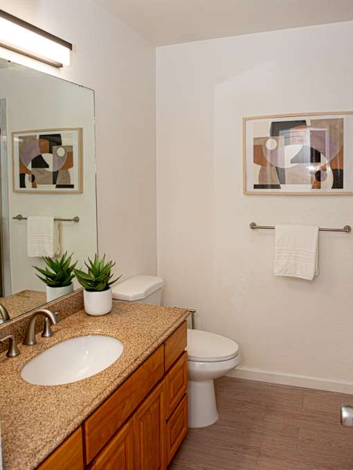 A bathroom with a toilet, sink, and mirror.