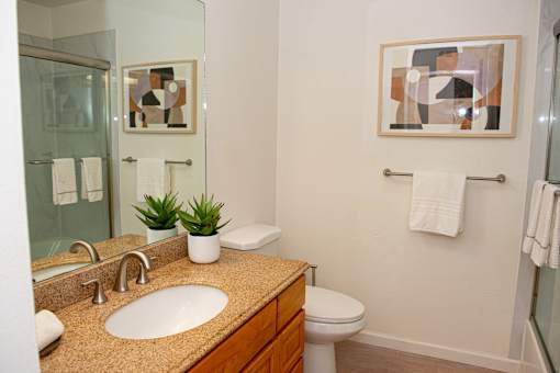 A bathroom with a sink, toilet, and a mirror.