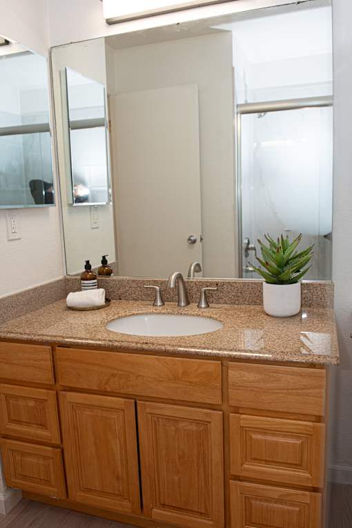A bathroom with a sink and a mirror.