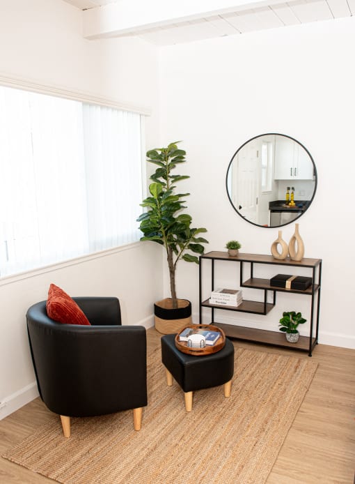studio in san carlos
