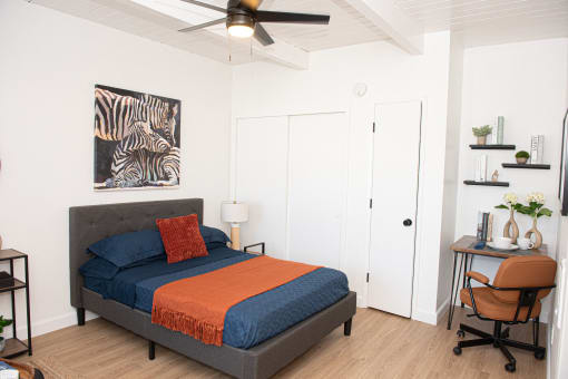 studio in san carlos