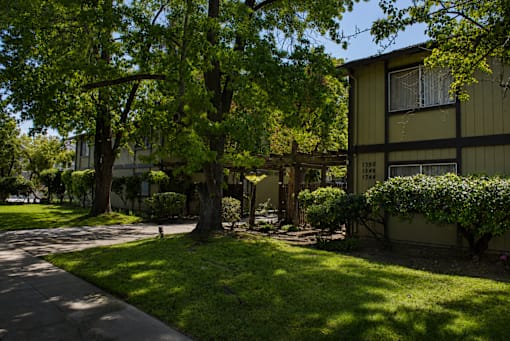 A tree-lined street with a building on the right.