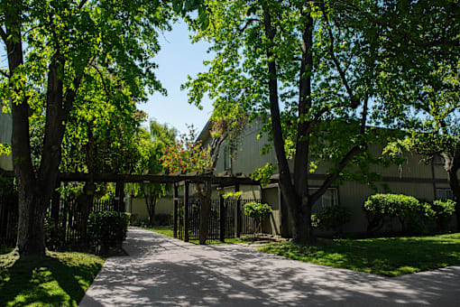 A tree-lined pathway leads to a building.