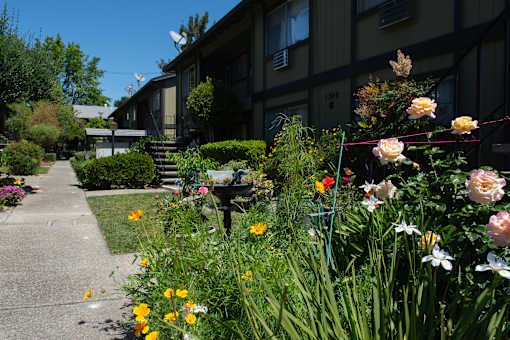 A garden with a variety of flowers in front of a building.