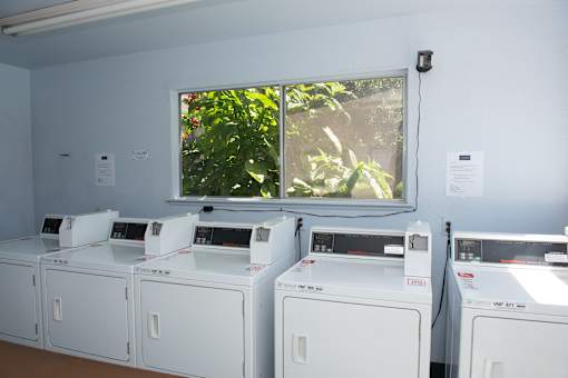 A row of white washing machines are lined up in a room.