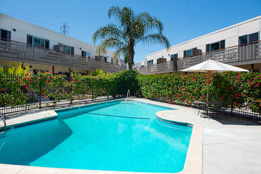 A swimming pool surrounded by a fence and a palm tree.