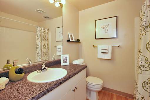 A bathroom with a sink, toilet, and shower curtain.