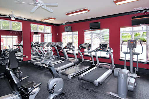 A gym with treadmills, elliptical machines, and a fan.