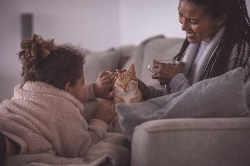 A woman with braided hair is petting a cat while sitting on a couch.