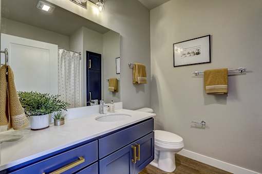 Main Bathroom