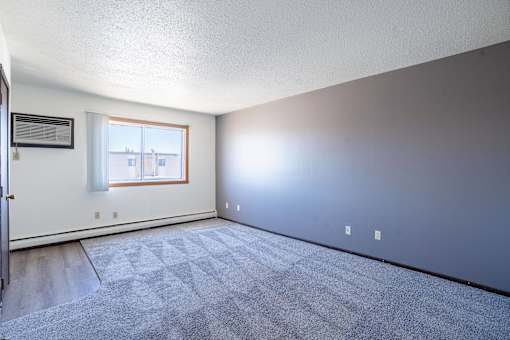 A room with a carpeted floor and a window.