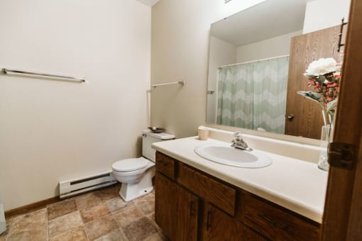 Grand Forks, ND Carling Manor Apartments. a bathroom with a toilet sink and mirror