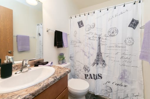 a bathroom with a sink and a toilet and a shower. Fargo, ND White Ridge Apartments