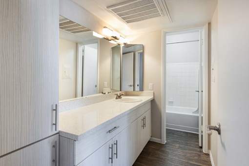 a bathroom with a sink and a mirror and a shower