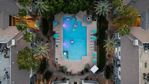 A swimming pool surrounded by palm trees and a building.