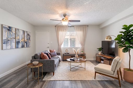 A living room with a grey couch, a wooden coffee table, a television, and a plant.