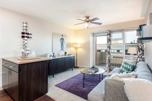 A living room with a grey couch and a purple rug.
