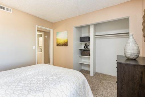 a bedroom with a bed and a closet