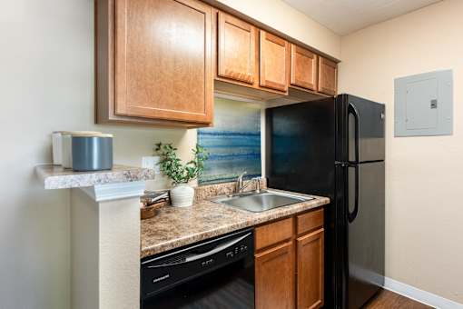 a kitchen with a black refrigerator and a sink