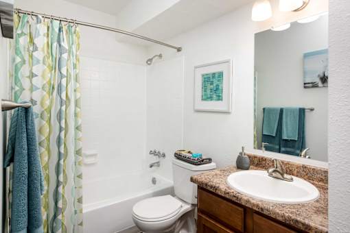a bathroom with a shower and a toilet and a sink