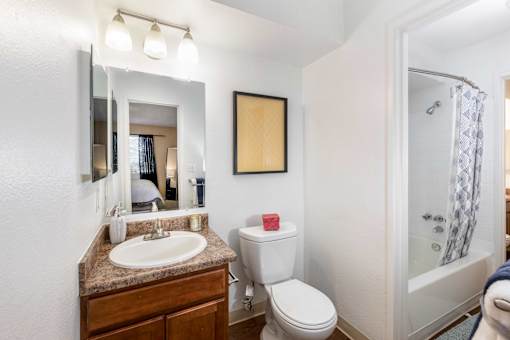 a bathroom with a shower toilet and sink and a mirror