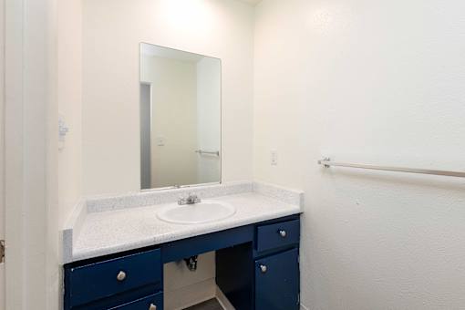 Bathroom with navy cabinets