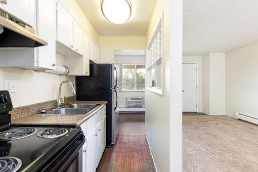 a kitchen with a stove and a sink and a refrigerator