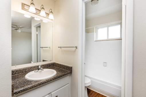 a bathroom with a sink and a mirror and a toilet