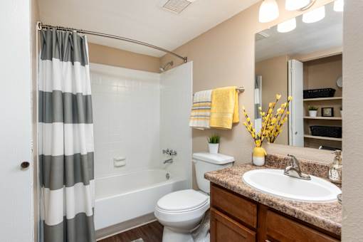 a bathroom with a shower and a sink and a toilet
