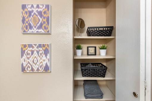 a bathroom with shelves and a mirror and a closet