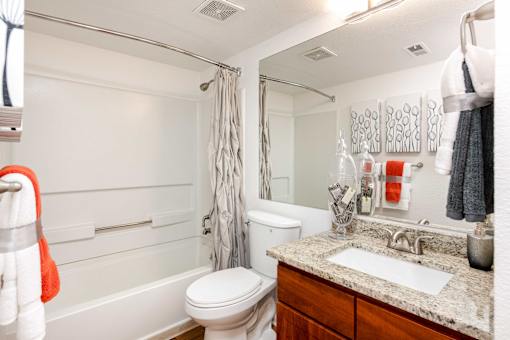 a bathroom with a shower toilet and sink and a mirror