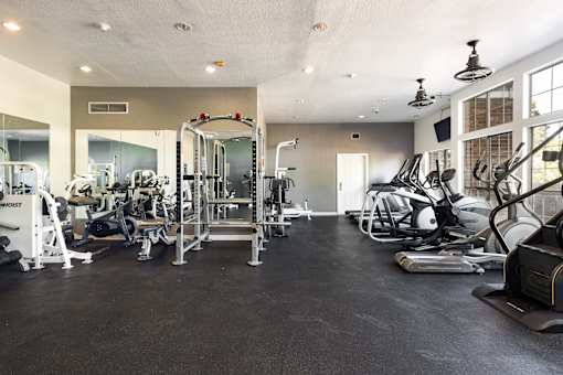 the gym is equipped with a variety of weights and cardio equipment
