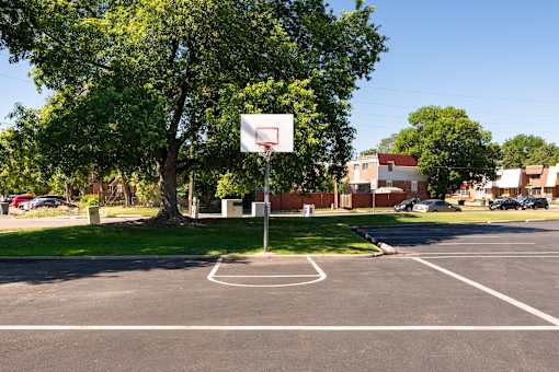 a basketball court in a park with trees
