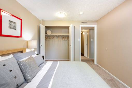 a living room with a couch and a closet