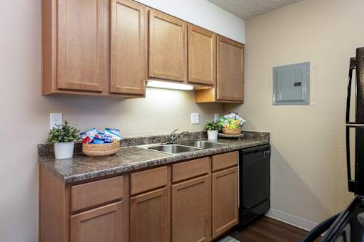 our apartments have a kitchen with a black refrigerator and a sink