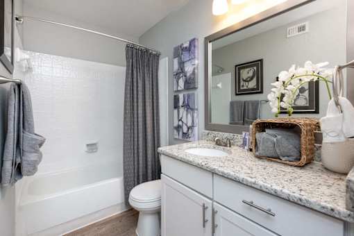 Arbour Ponds Tampa rentals sequoia bathroom 1x1 750 sq ft