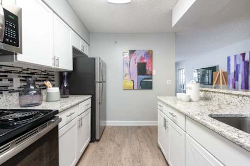 Arbour Ponds apartments in Tampa sequoia floor plan kitchen angle 1x1 750 sq ft