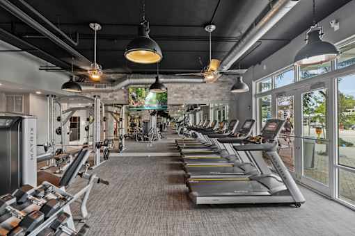 the gym is equipped with treadmills and other cardio equipment