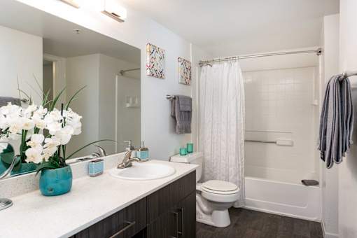 a bathroom with a sink and a toilet and a shower