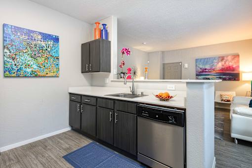 a kitchen with a sink and a dishwasher in a living room