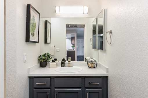 a bathroom with a sink and a mirror