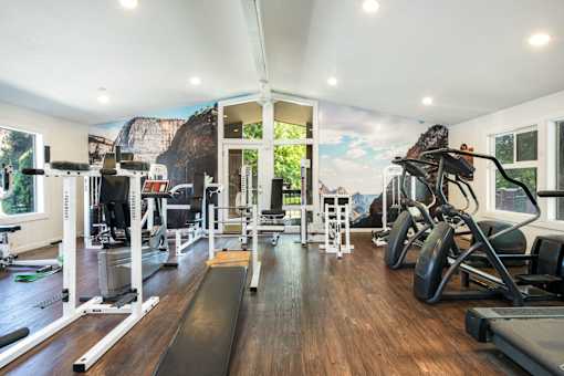 a home gym with exercise equipment and a mural on the wall