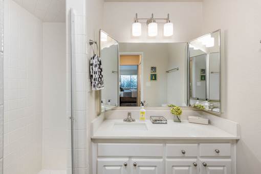 a bathroom with a sink and a shower and a mirror
