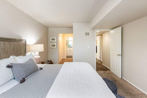 a bedroom with a large bed and a closet