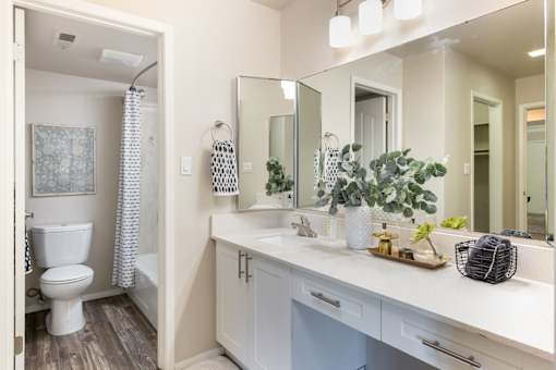 a bathroom with a large mirror and a toilet