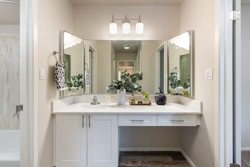 a bathroom with a sink and a mirror