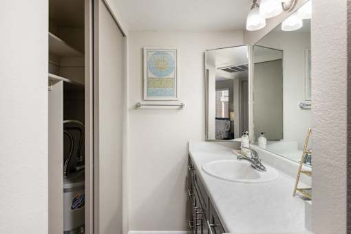 a bathroom with a sink and a mirror