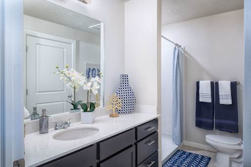 a bathroom with a mirror and a sink and a toilet