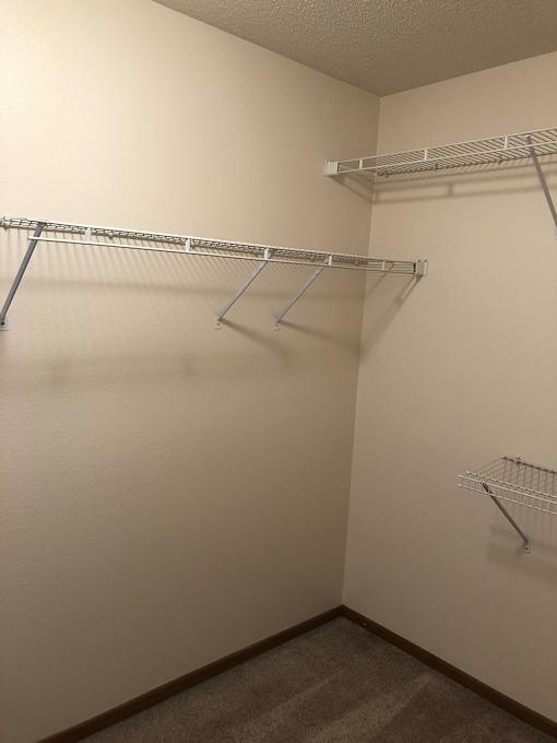 Empty walk-in closet with shelves and hangers.