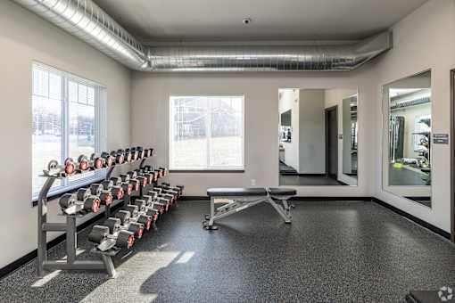 A gym with a row of dumbbells and a bench press.
